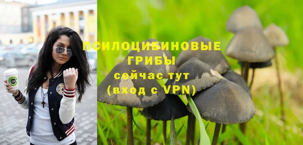 метадон Верея