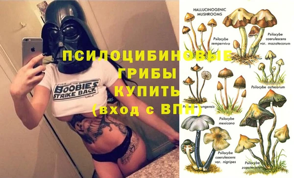 метадон Верея