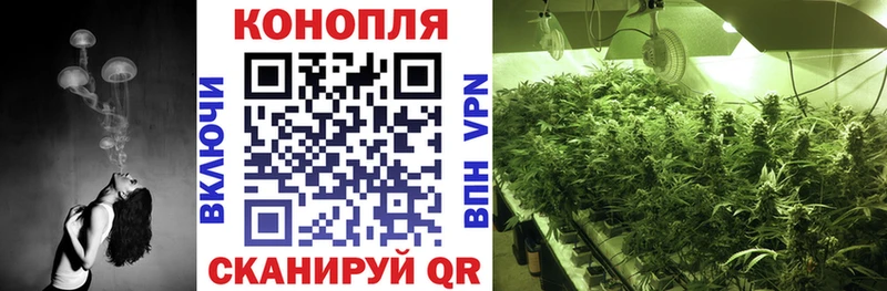 Бошки марихуана Bruce Banner Куртамыш